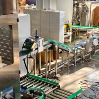 Ligne d'emballage automatique pour aliments pour animaux de compagnie, machine d'emballage VFFS, ligne d'emballage en carton, ligne de palettisation