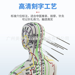 Modelo de figura humana de 52 cm con diagrama de puntos de acupuntura, versión transfronteriza, código en inglés, para práctica de acupuntura. - Product Image 1
