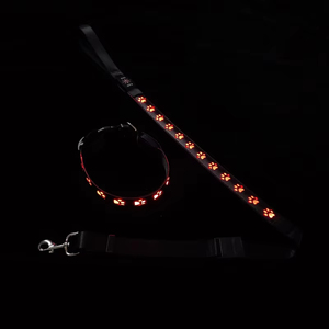 2024 Huisdier Halsband Waterdichte Kat Kras Patroon Led Lichtgevende Kraag Nacht Hond Wandelen Flash Usb Opladen Lichtgevende Nek Kraag