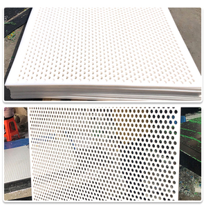 <span class=keywords><strong>2025</strong></span> thiết kế mới tùy chỉnh cắt <span class=keywords><strong>PE</strong></span> PP đục lỗ lưới tấm nhựa nước Bộ lọc đùn nhựa modling mới tùy chỉnh dịch vụ - Product Image 5