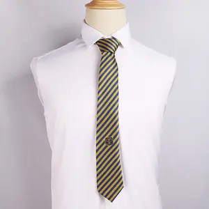 뜨거운 판매 저렴한 잘 생긴 사용자 정의 다른 색상 교복 넥타이 특별 로고