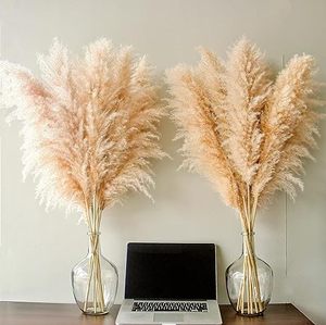 40 "pulgadas <span class=keywords><strong>10</strong></span> tallos Natural Pampas Grass <span class=keywords><strong>Decor</strong></span> Tall Pompas Grass, Tall Pampas Grass para boda, fiesta, granja, Boho Home <span class=keywords><strong>Decor</strong></span> - Product Image 1
