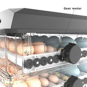 Thương Mại Thông Minh Hộ Gia Đình Dual Power Supply 1 Lớp 64 Lồng Ấp Trứng Haching Trứng Lồng Ấp <span class=keywords><strong>Fan</strong></span> Đối Với Lồng Ấp - Product Image 5