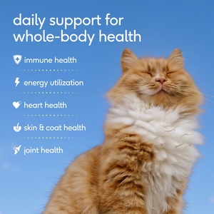 Multivitamines quotidiennes <span class=keywords><strong>pour</strong></span> chats avec probiotiques <span class=keywords><strong>pour</strong></span> la santé de la peau, du pelage, des articulations et du cœur, <span class=keywords><strong>pour</strong></span> chats d'intérieur, chatons, chats seniors, avec taurine, L-<span class=keywords><strong>lysine</strong></span>, oméga 3, double texture - Product Image 2