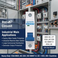 Interruptor Automático Industrial de Servicio Pesado 1P MCB 400V 125A 6kA Curva BCD C AHL30-125 AC-22A IEC60947-3 IP20 CE CCC OEM ODM