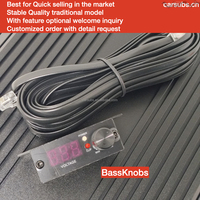 Amplificateur Monobloc de Voiture Brésilien 1 Ohm 3K Gamme Complète Classe D, Puissant pour Caisson de Basses, 3000W RMS, 6000W Crête SPL