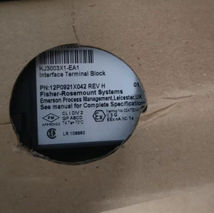 ราคาดีสำหรับยูนิตอินเทอร์เฟซระยะไกลคุณภาพสูง DeltaV Series (RIU) รุ่น KJ2004X1-BA1/KJ2004X1-BB1/KJ2004X1-BC1 - Product Image 5