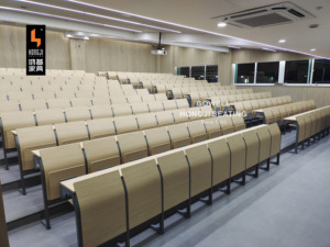 31 Năm Nhà Máy Đại Học Sinh Viên Ghế Nhà Cung Cấp Cao Đẳng Bài Giảng Hội Trường Ghế Ghế Trường Bộ Trường Học Bàn Và Ghế Cho Bán - Product Image 6