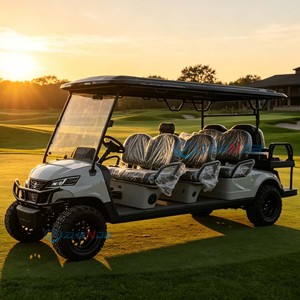 Voiturette de golf électrique personnalisée multicolore, moteur 3,5 kW, longue portée, haute performance, écologique, fiable, professionnelle, multifonction - Product Image 6