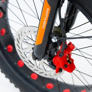 Bicicleta Eléctrica de Litio Disiyuan Factory Outlet Super <span class=keywords><strong>S7</strong></span> de 20 Pulgadas con Neumáticos Gruesos para Nieve, Bicicleta Eléctrica de Montaña de 48V - Product Image 3