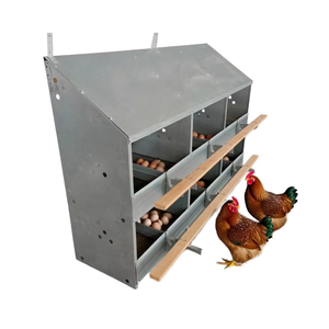 Caja nido <span class=keywords><strong>de</strong></span> gallinero <span class=keywords><strong>de</strong></span> 12 habitaciones, caja <span class=keywords><strong>de</strong></span> nido <span class=keywords><strong>de</strong></span> pollo Manual <span class=keywords><strong>de</strong></span> dos niveles para poner <span class=keywords><strong>huevos</strong></span>, <span class=keywords><strong>precio</strong></span> al por mayor - Product Image 1