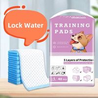 Tapis d'apprentissage jetables super absorbants, doux, imperméables, écologiques et sûrs pour chiots, lapins et gerbilles