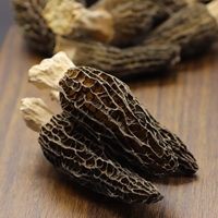 Champignon de morme sauvage de croissance naturelle de haute qualité, prix de gros