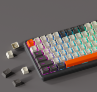 Nouvel arrivage d’usine – Clavier mécanique de jeu RGB rétroéclairé, sans fil 2,4 GHz, taille standard, 101 touches, programmabl
