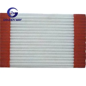 Factory Directly Sale Polyester Woven Press Filter Spiral Mesh Belt For Water Treatment Screen Fabric