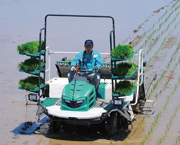 Machine de plantation de riz à haute efficacité kubota (SPV-8C)