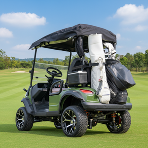 Produits les plus vendus : Voiturette de golf à deux places propulsée, idéale pour les loisirs en milieu campagnard - Product Image 1