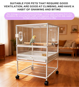 <span class=keywords><strong>Cage</strong></span> à oiseaux de luxe moderne classique en <span class=keywords><strong>verre</strong></span> et acier inoxydable pour l'élevage de petits oiseaux et de perroquets - Product Image 4