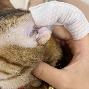 Salviette per la pulizia di denti e orecchie per animali domestici OEM, personalizzabili con etichetta privata, per cani e gatti, per negozi di animali, canili e cliniche veterinarie - Product Image 5