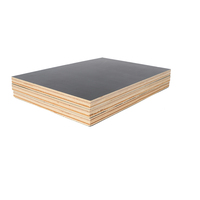Black Film Faced Plywood, Construction, Formwork