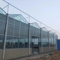 Peralatan Produksi Rumah Kaca Pertanian Multi Span, Rumah Kaca Kaca Besar untuk Dijual