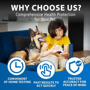 Canine/Dog HealthCheck 4-in-1 Test Kit Screening of Common Canine Illnesses Quick and Easy <strong>At</strong>-<strong>Home</strong> <strong>Testing</strong> - Product Image 6