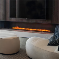 Insert de cheminée portable en acier inoxydable à éthanol, sans fumée, avec allumage automatique et télécommande, pour décoration intérieure, biochiminea