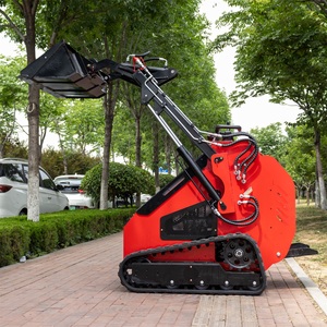 Chargeuse compacte sur chenilles HTS382T de haute qualité, 3 pompes, personnalisable, avec garantie, en promotion - Product Image 1