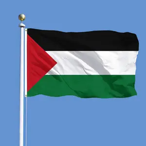 Penjualan Terbaik kualitas baik kustom luar ruangan ukuran besar 3X5 kaki 100% poliester bendera negara nasional Palestina untuk promosi