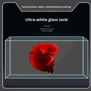 <span class=keywords><strong>Aquarium</strong></span> en verre rectangulaire ultra-blanc de taille personnalisable, grand modèle pour bureau et salon, <span class=keywords><strong>aquarium</strong></span> écologique - Product Image 3