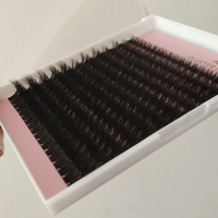 Kit d'Extensions de Cils en Clusters Prédécoupés en Gros, Logo Personnalisé, Marque Privée, DIY, Faux Cils en Vison, Cheveux Synthétiques