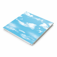Panneaux de plafond en aluminium blanc mat faciles à installer 300x300 300x600 600x600 pour l'intérieur de la maison et les projets