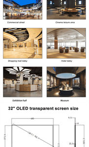 Soporte de Pantalla OLED Transparente de 32/55 Pulgadas para Publicidad en Centros Comerciales y Tiendas Minoristas con Función SDK - Product Image 5