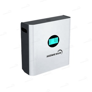 Batería de Almacenamiento de Energía 51.2V 100Ah 10kWh para Sistema Solar, Celda Recargable de Iones de Litio de Ciclo Profundo 48V con EMS Inteligente - Product Image 1