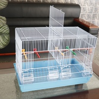 Cage à oiseaux en acrylique pour l'élevage avec motif solide pour pinsons, perruches, calopsittes, conures, agapornis, canaris, perroquets