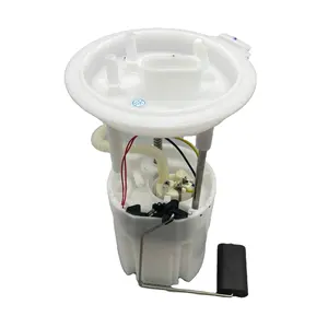 DSYP ZCBYD003A Auto Parts Fuel Pump Assembly S6M-1106610 For BYD S7 S6 1.5T VDO model