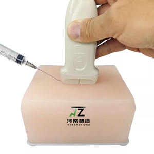 अल्ट्रासोनिक पंक्चर फैंटम व्यापक प्रशिक्षण मॉडल जिसमें रक्त वाहिकाओं ट्यूमर तंत्रिकाओं और साइस्ट - Product Image 5