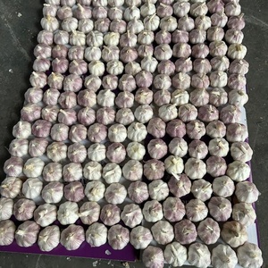 กระเทียมสด ขนาด 5.0-5.5 ซม. ผัก 10 กก. บรรจุกล่อง ราคาส่งออก - Product Image 6