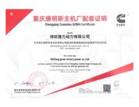 Groupe électrogène Cummins 400 kW à gaz, silencieux/à châssis ouvert, gaz naturel, biogaz, GPL, générateur en parallèle pour réseau électrique, directement de l'usine