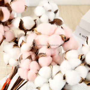 <span class=keywords><strong>Bouquet</strong></span> de <span class=keywords><strong>fleurs</strong></span> décoratives artificielles en <span class=keywords><strong>coton</strong></span>, 10 têtes <span class=keywords><strong>séchées</strong></span>, herbes avec longue tige, pour décoration, vente en gros D133 - Product Image 5