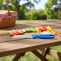 3Cr13 roestvrijstalen gekarteld schilmesje met PP-handvat, draagbare fruit- en groenteschiller voor thuiskeuken en buitenpicknick