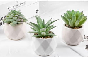 Xinrunjin simulado felpa suculenta bonsái biomimético verde maceta flor Artificial escritorio negocios regalos promocionales - Product Image 4