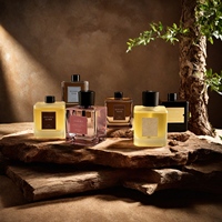 Ensemble de diffuseurs de parfum d'ambiance haut de gamme, diffuseur de parfum d'intérieur de luxe avec bâtonnets naturels pour la décoration intérieure moderne
