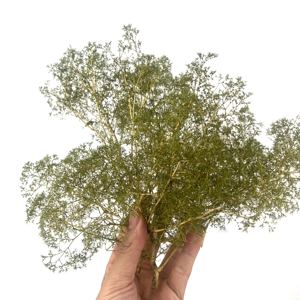 Árboles y Arbustos de Maqueta Superrealistas para Escaleras, ModelO HO 00 n, Diorama de Juegos de Guerra, Fondo de Tren - Product Image 5