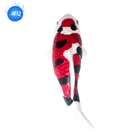 Miniature de poisson Koi pour intérieur/extérieur – Prix usine – Modèle moderne et luxueux pour aquarium, animal marin classique pour salles de bain et espaces de vie