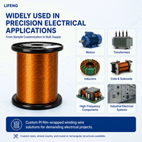 Cable Rectangular de Hilo Litz Multiconductor, Paralelo y Unido con Mylar, IEC 60317, Cable de Bobinado con Película PET, Industrial, Alto Voltaje, IP65