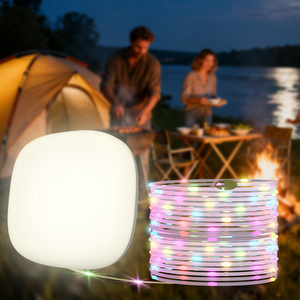 <span class=keywords><strong>Vente</strong></span> directe d'usine, best-seller, design magnétique multifonctionnel, décoration d'ambiance intérieure et extérieure, lumière LED à fil - Product Image 2