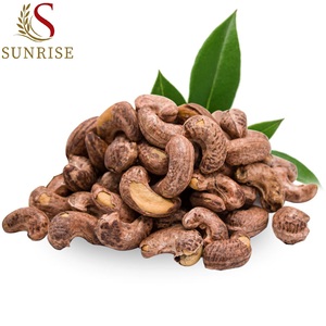 Vente en gros de noix de cajou grillées Noix de cajou délicieuses de haute qualité avec peau - Product Image 1