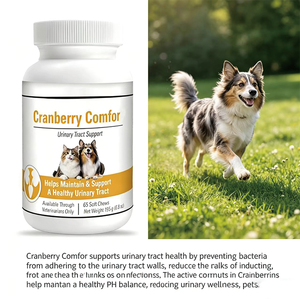 OEM/ODM - Nuova Formula Naturale per la Pulizia della Vescica: Masticabili Morbidi al Mirtillo Rosso per Cani, Supporto Urinario per la Prevenzione dei Calcoli <span class=keywords><strong>Renali</strong></span> e il Comfort in caso di Infezioni Urinarie - Product Image 5