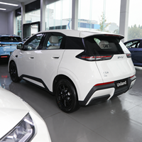 BYD Seagull Atto1 2026 Baru, 405KM EV Listrik Energi Baru FWD Baterai Lithium 5 Pintu 4 Kursi Hatchback Dolphin Surf